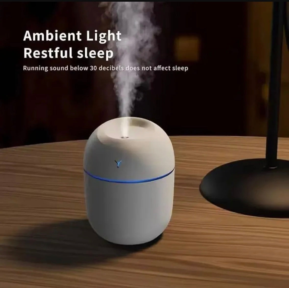 Mini Portable Air Humidifier & Essential Oil Diffuser